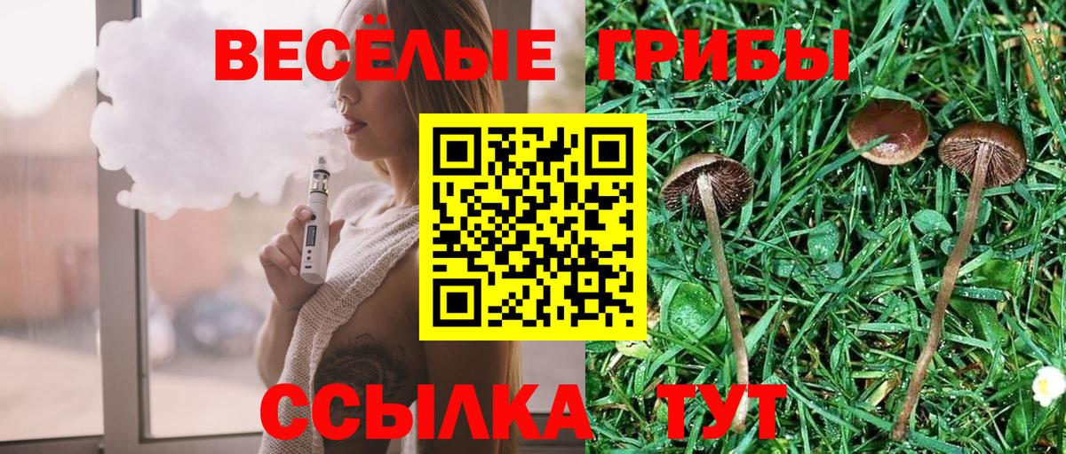 Галлюциногенные грибы Psilocybine cubensis  Галлюциногенные грибы Magic Shrooms  Касимов  Вход с VPN 
