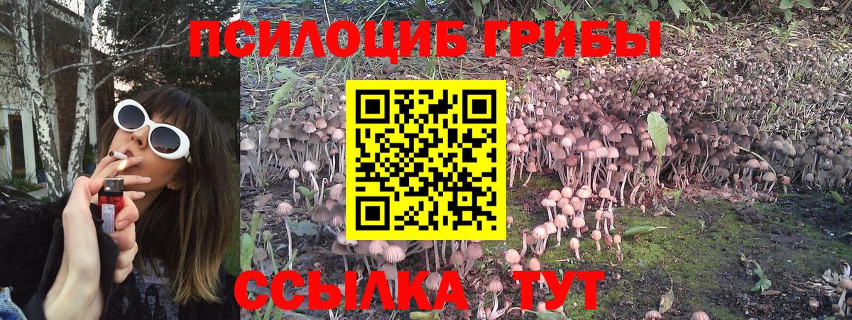 Галлюциногенные грибы ЛСД Касимов